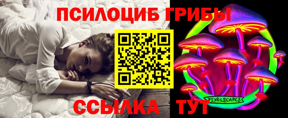 Галлюциногенные грибы прущие грибы  Вход с VPN  Гудермес 